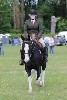 thornton-le-dale-gala showclass7acharity25-5-20150